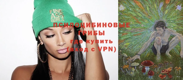 прущий лед Алексин