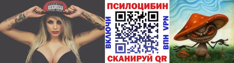 Псилоцибиновые грибы Cubensis  гидра сайт  Новомичуринск 